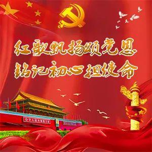 20年扛剧路,杨紫31岁爆款女王,粉丝号召力不减!